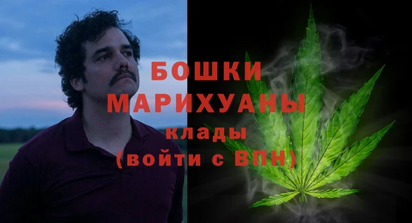 PSILOCYBIN Абдулино
