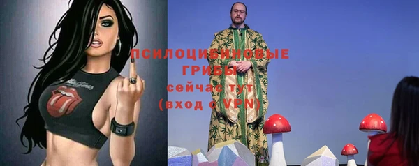 PSILOCYBIN Абдулино