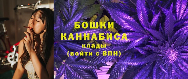 PSILOCYBIN Абдулино