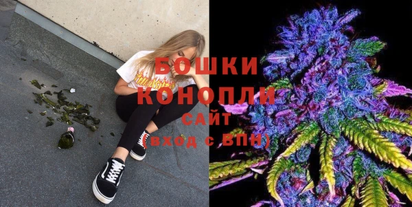 PSILOCYBIN Абдулино